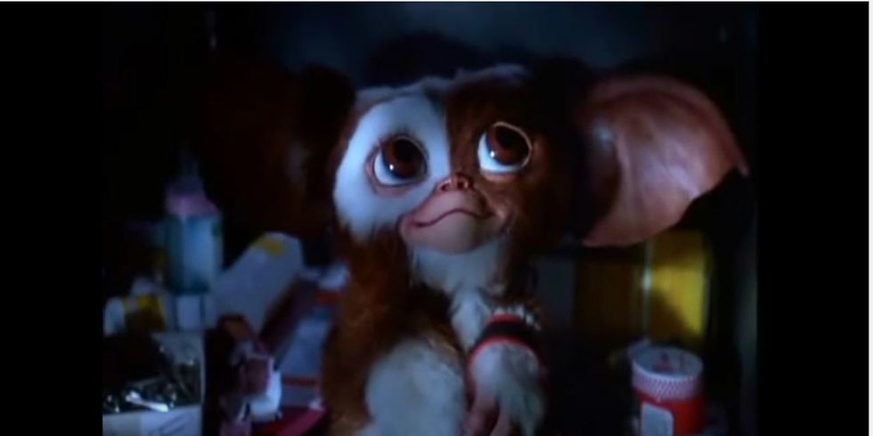 Gizmo from "Gremlins"