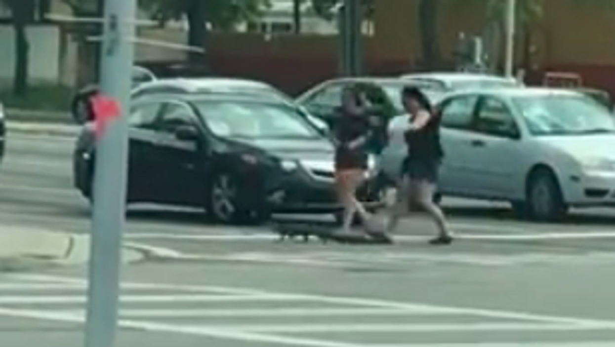 Two women in Florida show Southern hospitality by helping gator cross the street