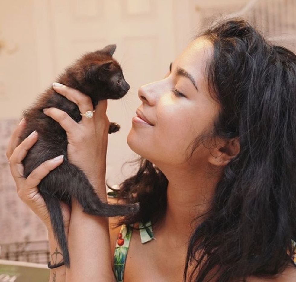 Kitten Found with Eyes Crusted Shut Gets Help to See Again Love Meow