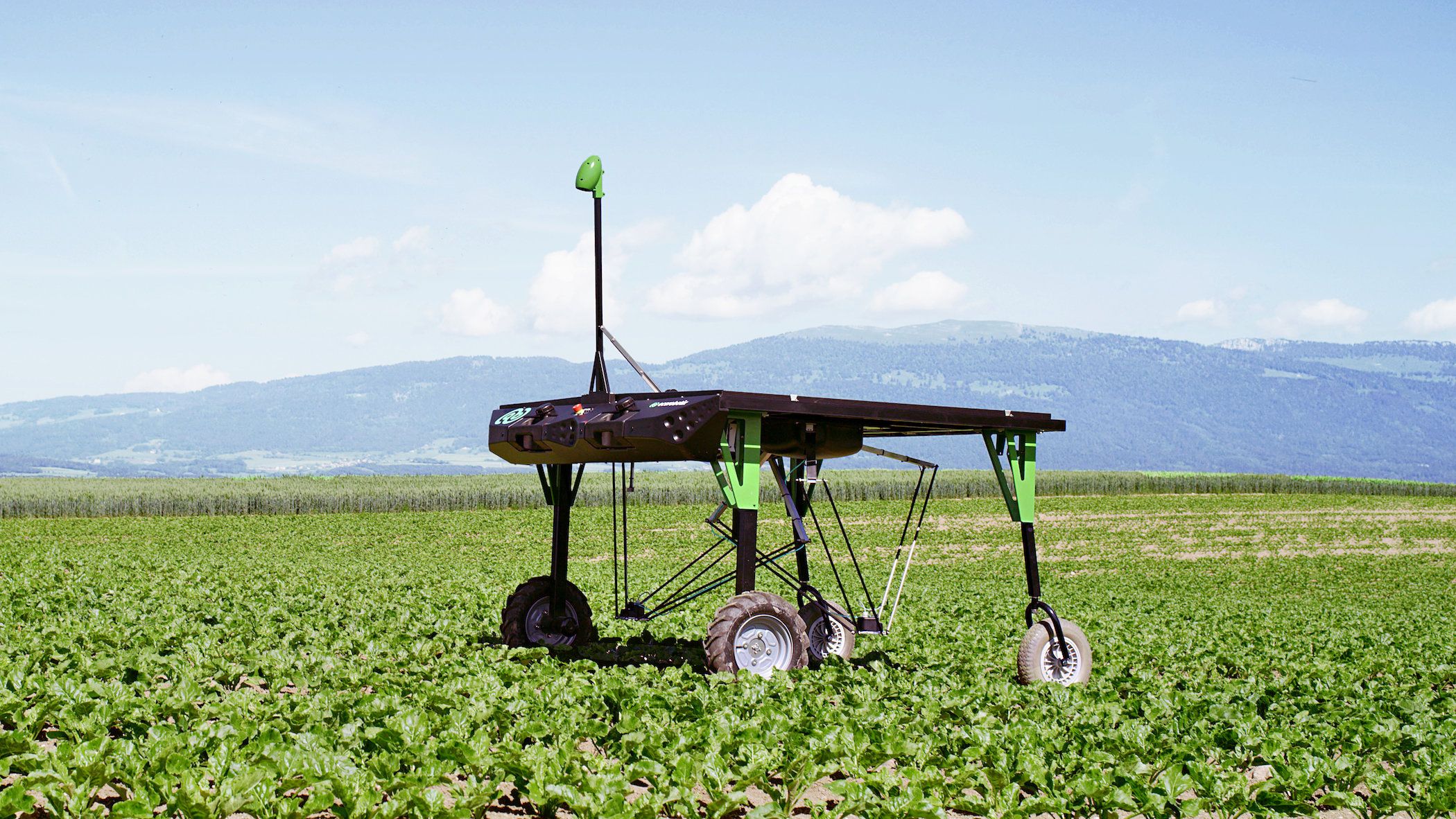 Weed-killing Robots Use Fewer Pesticides On Farms And Food - Gearbrain