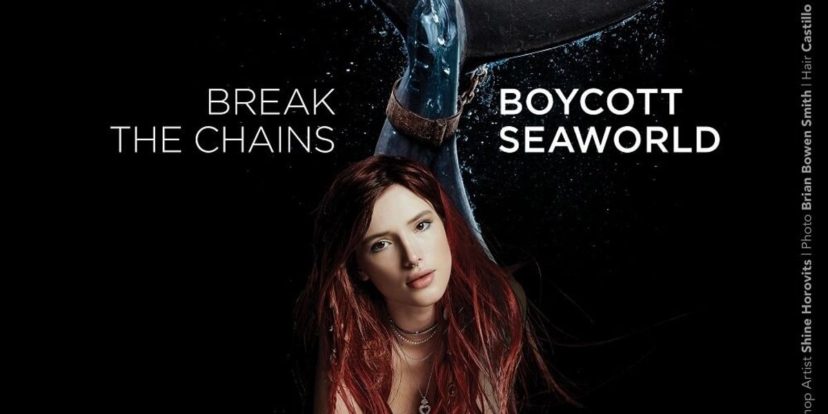 Bella Thorne Urges SeaWorld Boycott