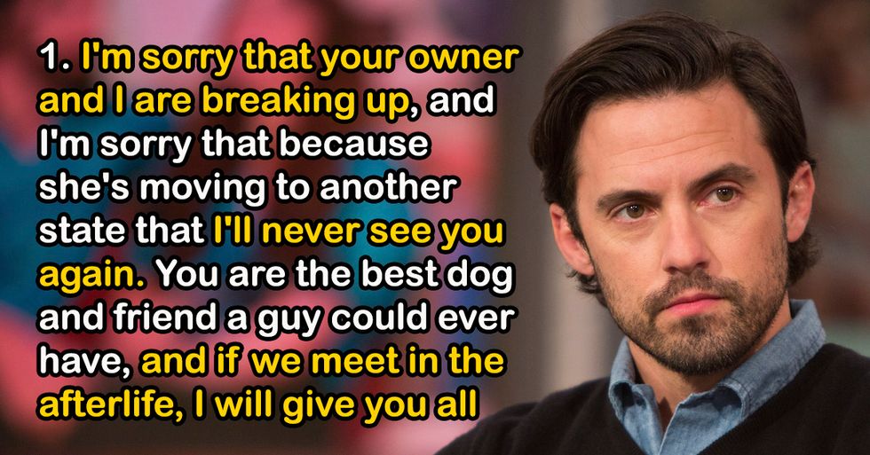 Anonymous Pet Owners Share What They Wish They Could Tell Their Pets
