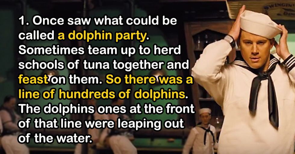 Sailors Reveal The Most Bizarre Things They've Experienced At Sea