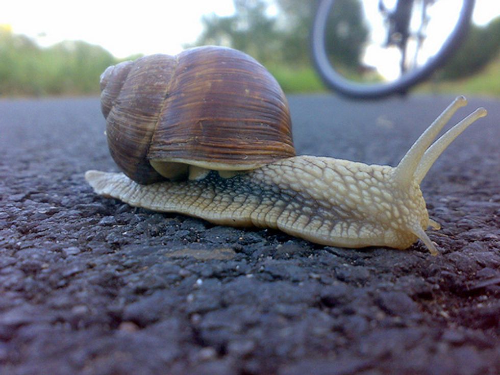 Beuford the snail cookie jar. Takei