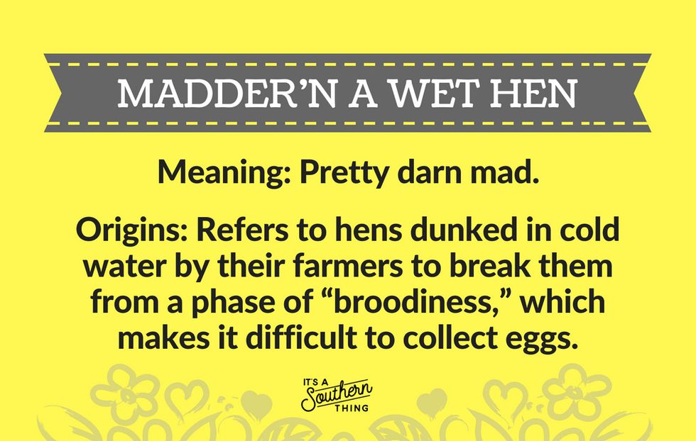 Colorful Southern phrases and their origins It's a Southern Thing