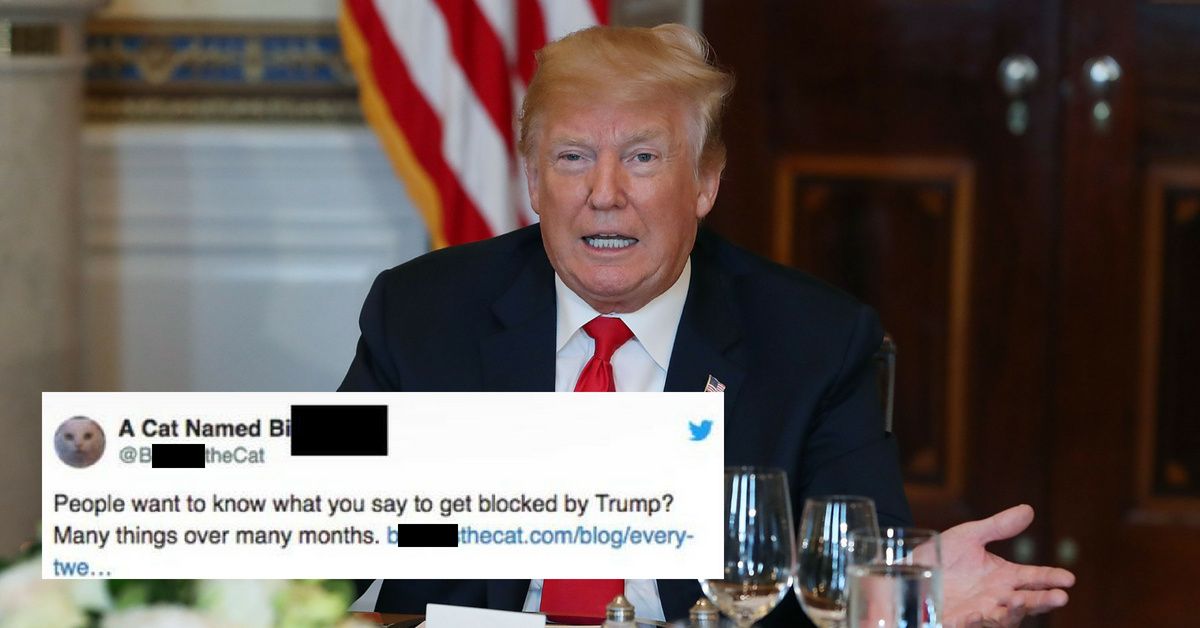 Donald Trump Blocked A 'Cat' On Twitterâ€”And We've Hit A New Low ðŸ˜¹