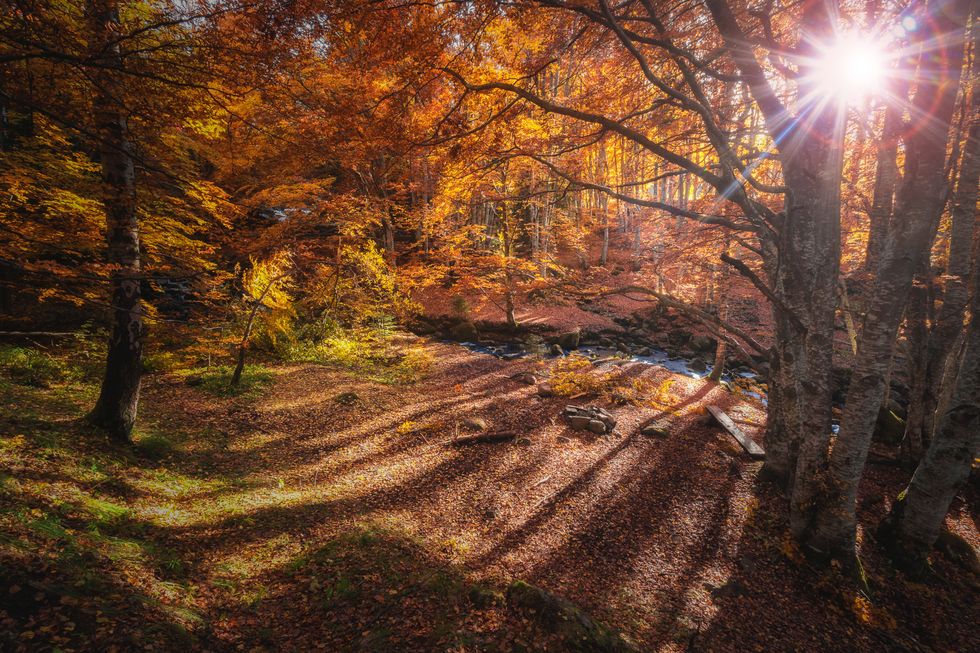 10 Signs That It Is Almost Fall