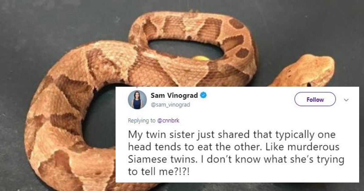 A Rare Two-Headed Baby Snake Was Found In Someone's Yard In Virginia ðŸ˜±