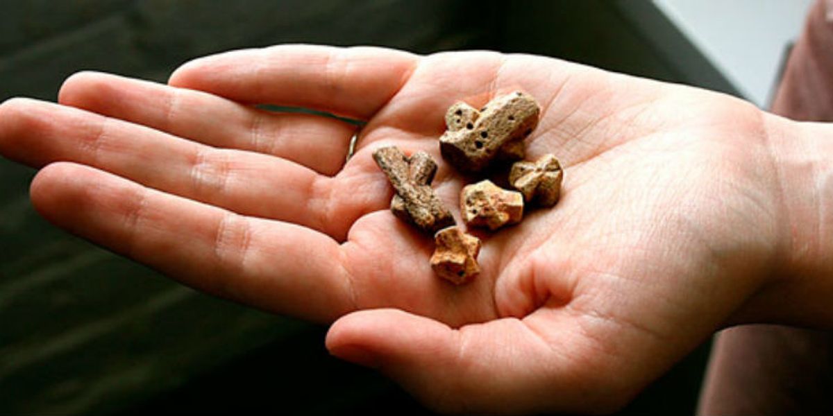 Southern legends say these naturally formed Fairy Crosses are magical