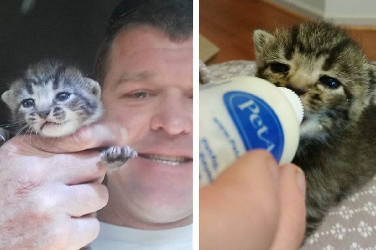 Man Saves Kitten from Run-down Building Before Approaching Hurricane Arrives