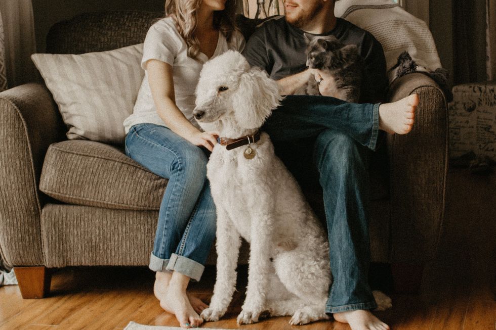 But What About The Dog? What To Do With Your Shared Pets During A Breakup