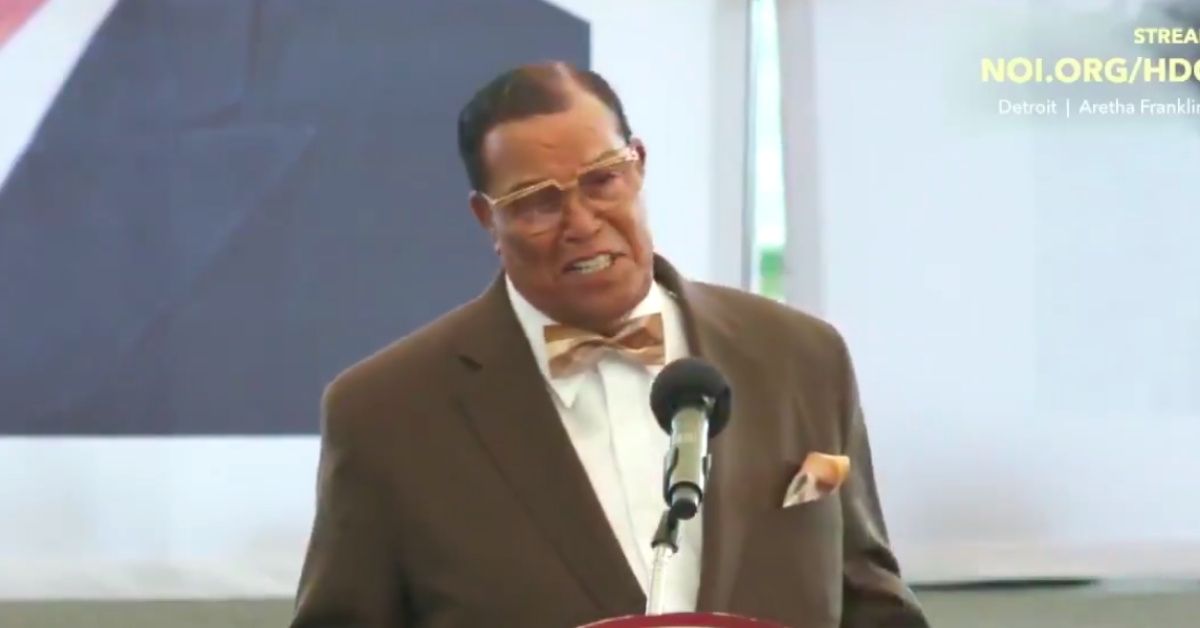 Facebook And Twitter Have Differing Stances On Louis Farrakhan's Video Comparing Jews To Termites