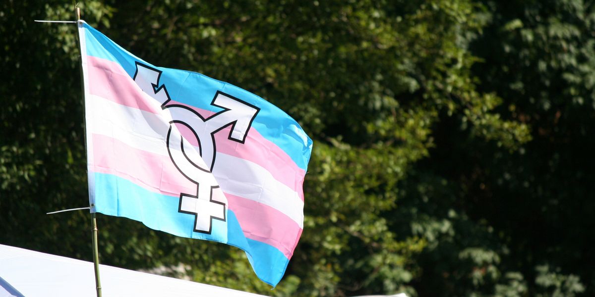 Here's How to Help Trans and Non-Binary People Right Now