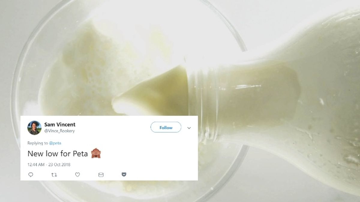 PETA Ignites Controversy After Comparing Dairy Drinkers To White Supremacists