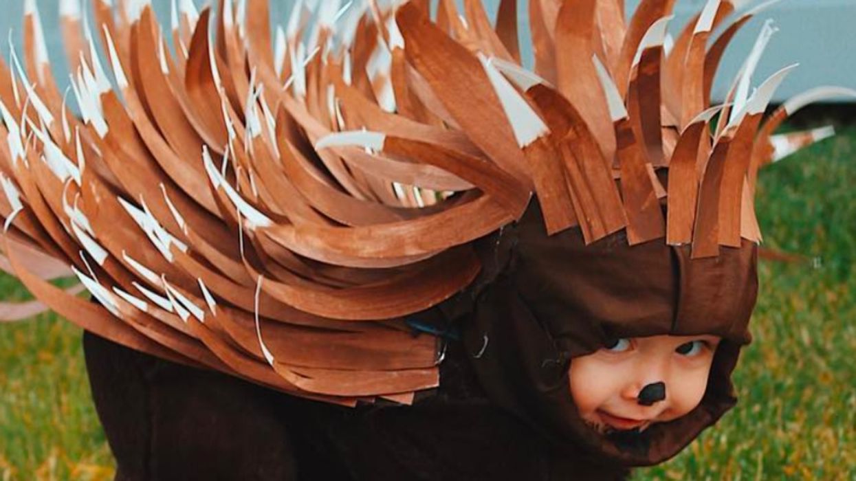 This Mom Made Adorable Costumes For Her Toddler For Under $5--And They're Going Viral