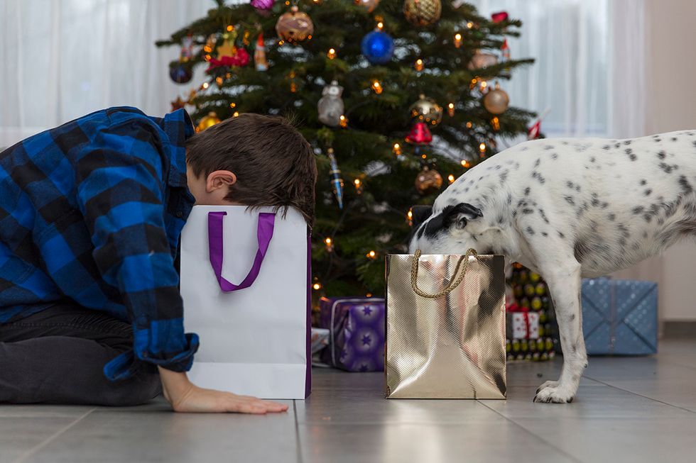 10 Unique 2018 Holiday Gift Ideas for Dog Lovers