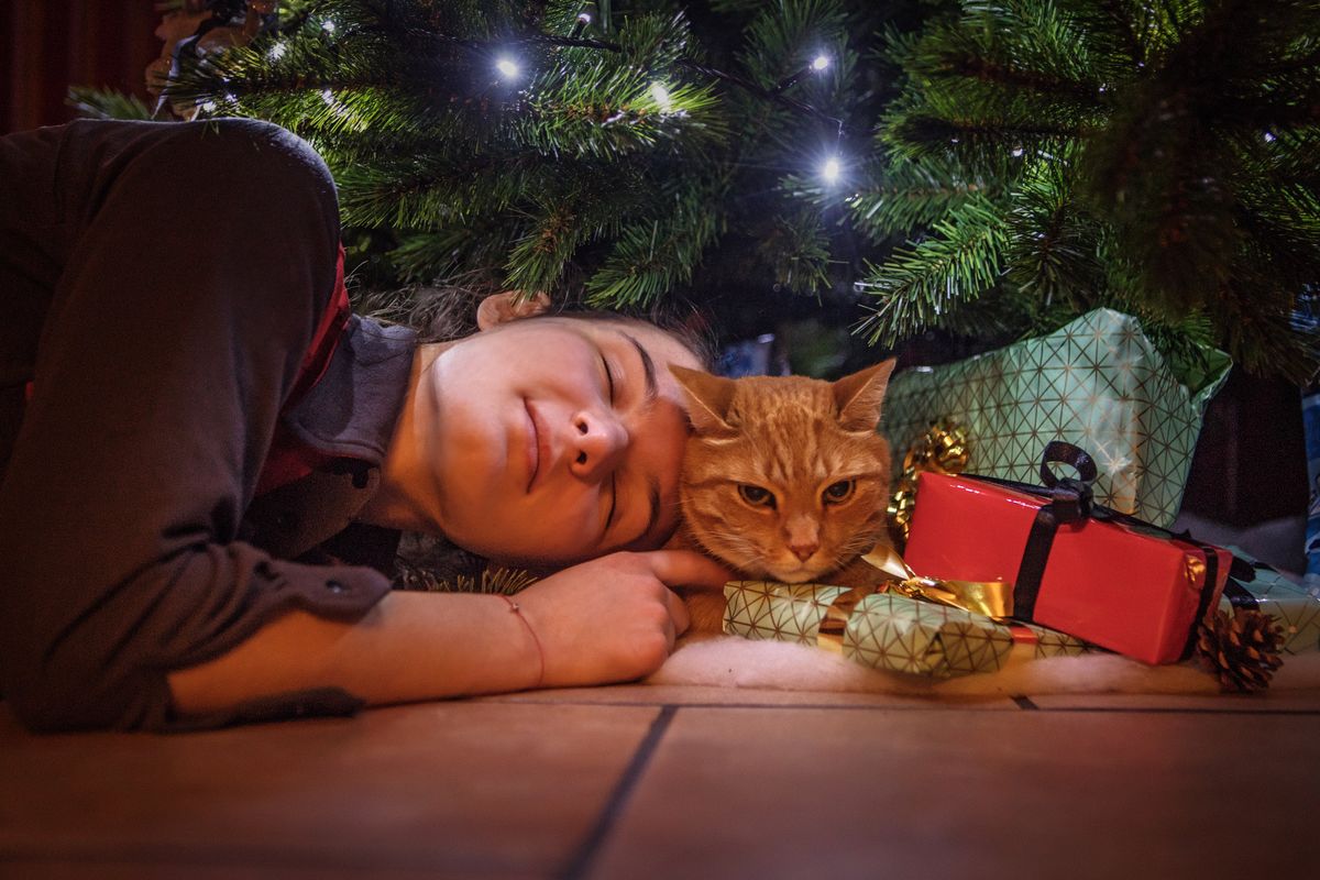10 Unique 2018 Holiday Gift Ideas for Cat Lovers