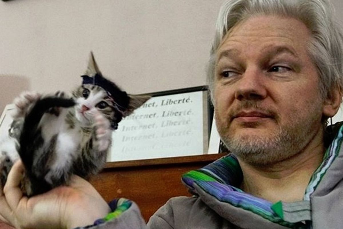Julian Assange To Be Offered Asylum In American Prison. Don't Bring The Cat.