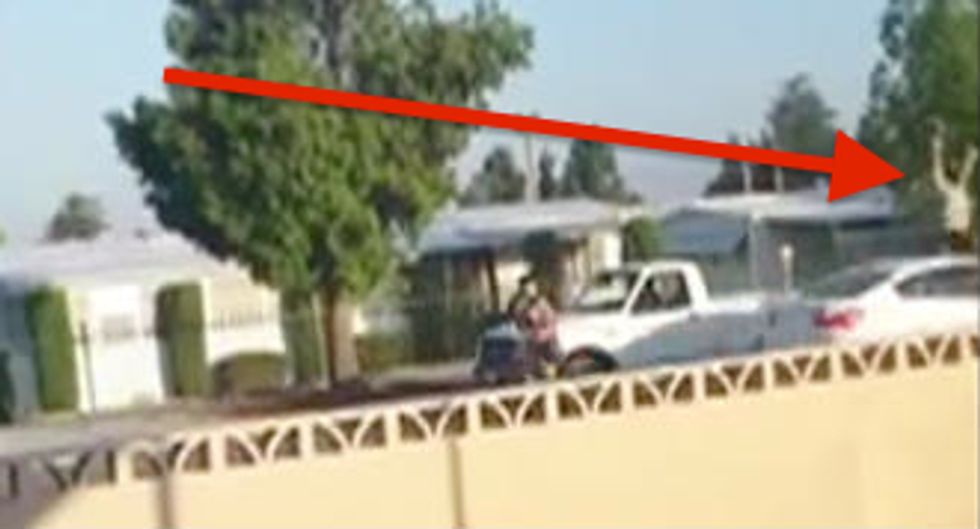 Graphic Video Shows the Moment 53YearOld Man Involved in Alleged Road