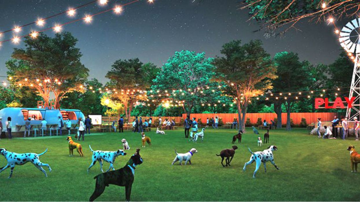 This Atlanta dog park is so fabulous even people who aren’t pet owners will want to go