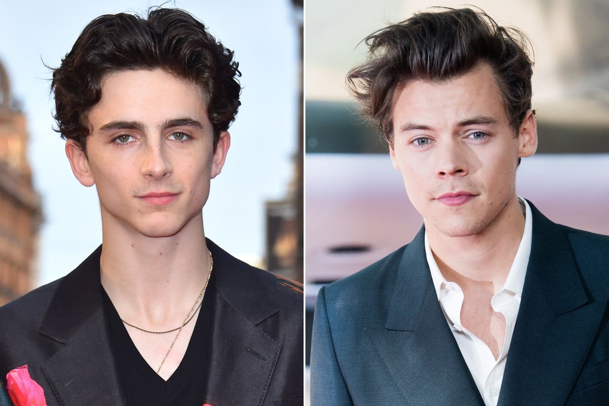 Timothée Chalamet and Harry Styles: A New Masculinity