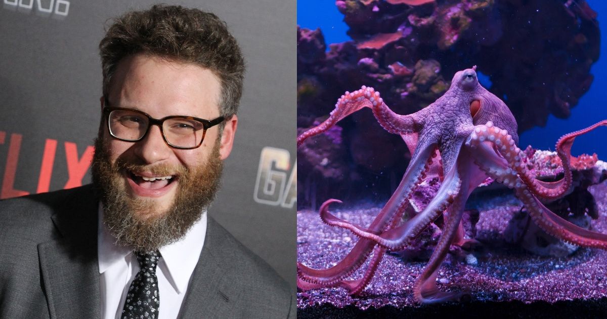The Vancouver Aquarium Just Named An Octopus After Seth Rogenâ€”And He Couldn't Be Happier ðŸ˜�