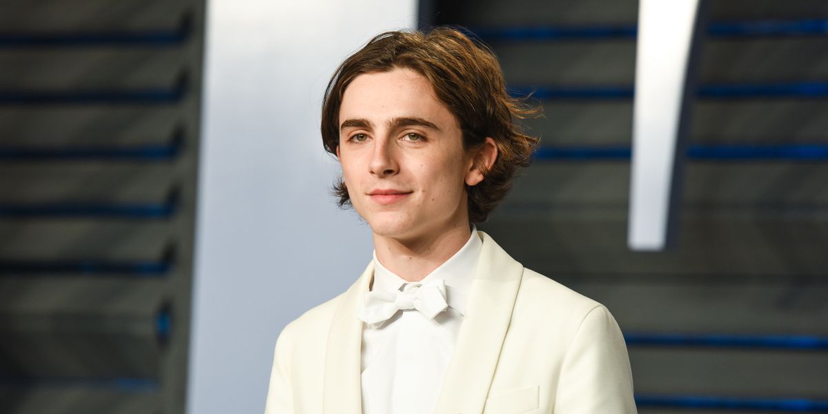 Of Course, Timothée Chalamet Will Star In Wes Anderson's Latest