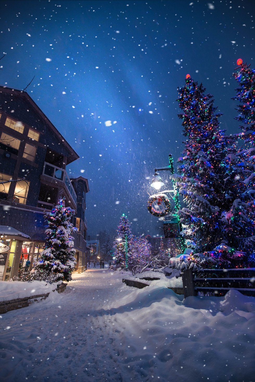 The 12 Songs of Christmas