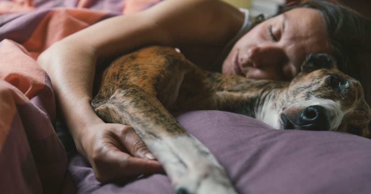 A New Sleep Study About Women And Their Dogs May Have Some Women Kicking Their Partners Out Of Bed