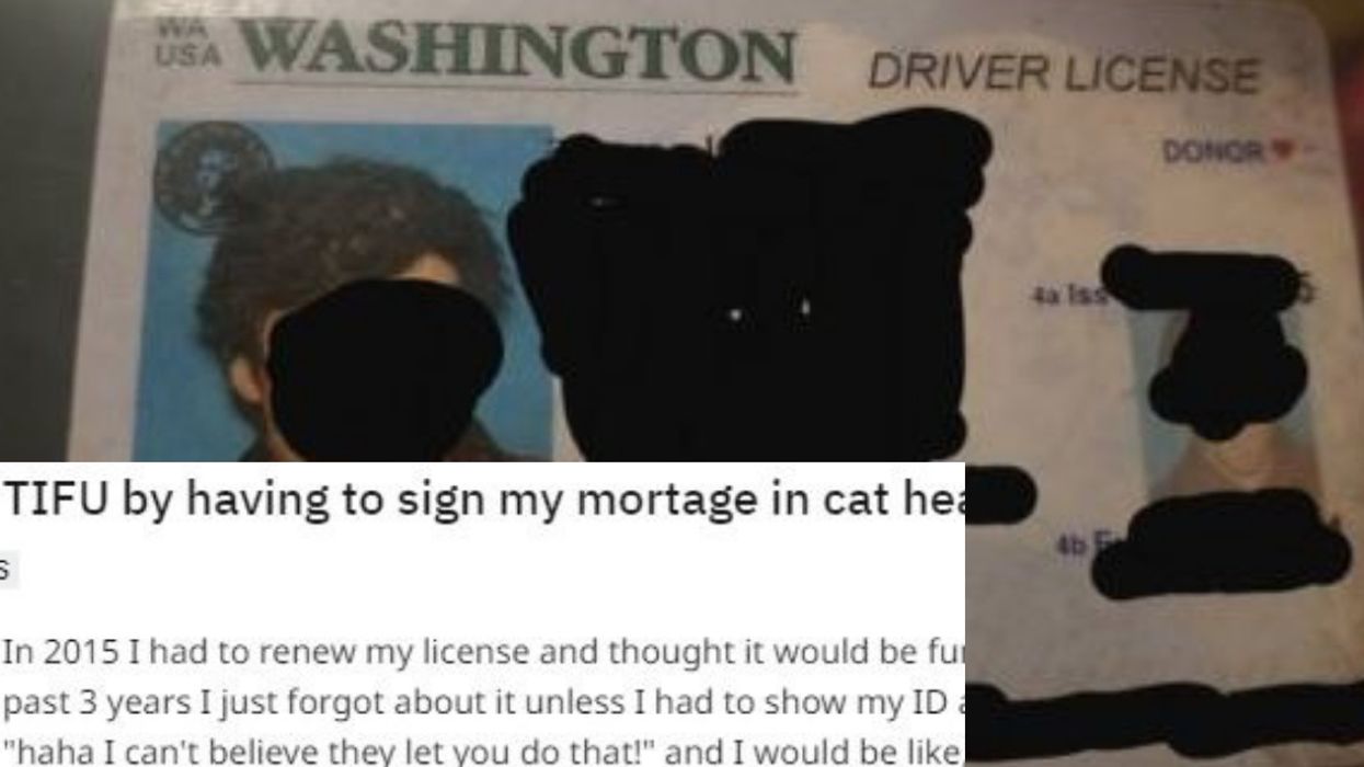 Man Signs His ID With Drawings Of Cat Heads As A Jokeâ€”And It Comes Back To Bite Him 3 Years Later ðŸ˜¹