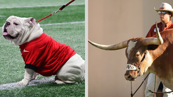 bevo and bulldog sugar bowl