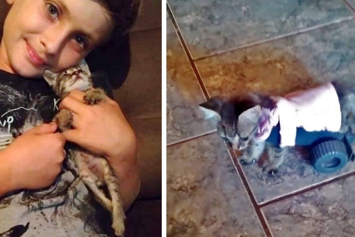 Boy Meets Tiny Kitten Who Can't Walk, and Decides to Turn Her Life Around
