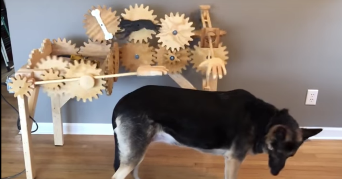Automatic DogPetter Is Hitting All The Right Spots With Pets And Their