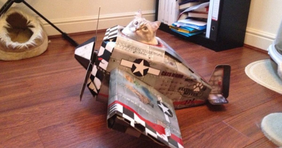Help Foster Your Cat's Destructive Imagination With These Cardboard Military Vehicles And Gadgets ðŸ˜¼