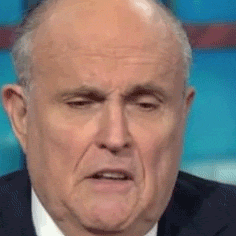Rudy Giuliani Settles The Debate. Moron. The Answer Is Moron.