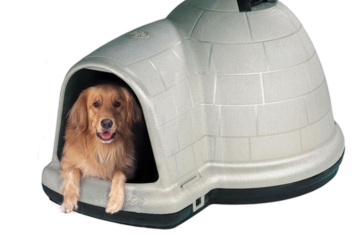 The Best Dog House Kits