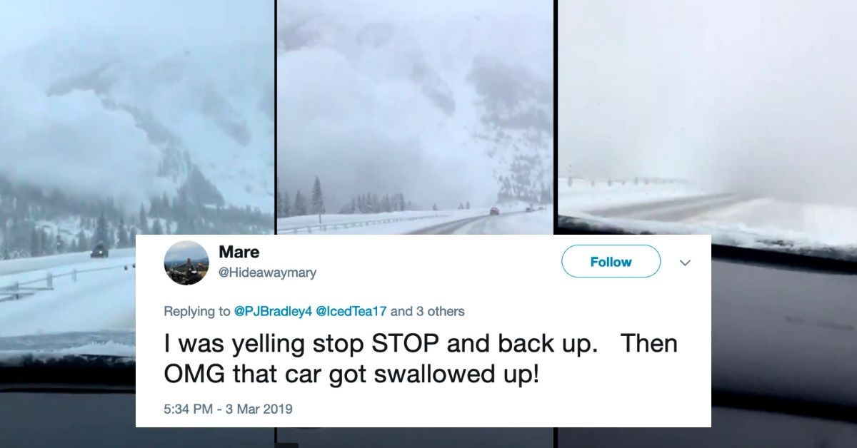 Wild Videos Show Just How Close Some Drivers Got To Being Swept Up In A Colorado Avalanche
