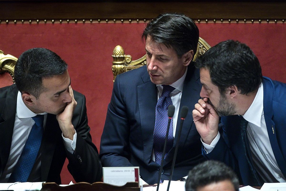 Un anno da marziani con il gattone. Matteo che gioca con Gigi