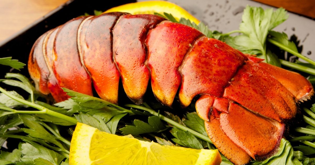The Staggering Amount The Pentagon Spent On Lobster Tail And Other Luxury Food Items Last Year Has Our Heads Spinning