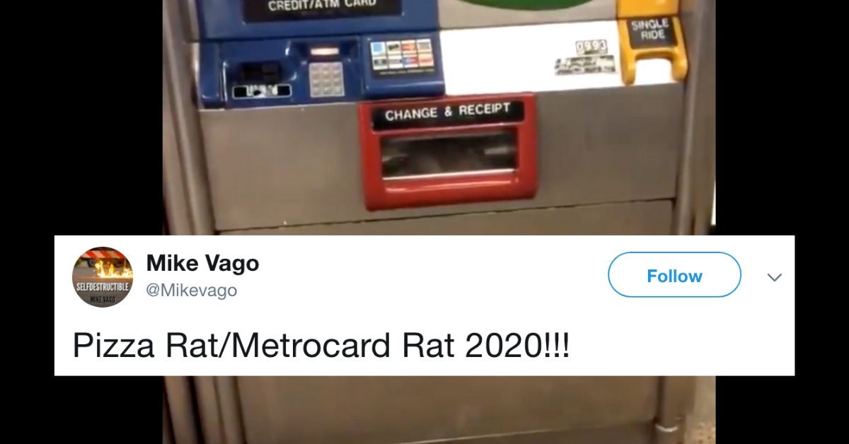 Forget Pizza Rat, MetroCard Rat Is NYC's Hottest New Subway-Related Rat—But We Have So Many Questions