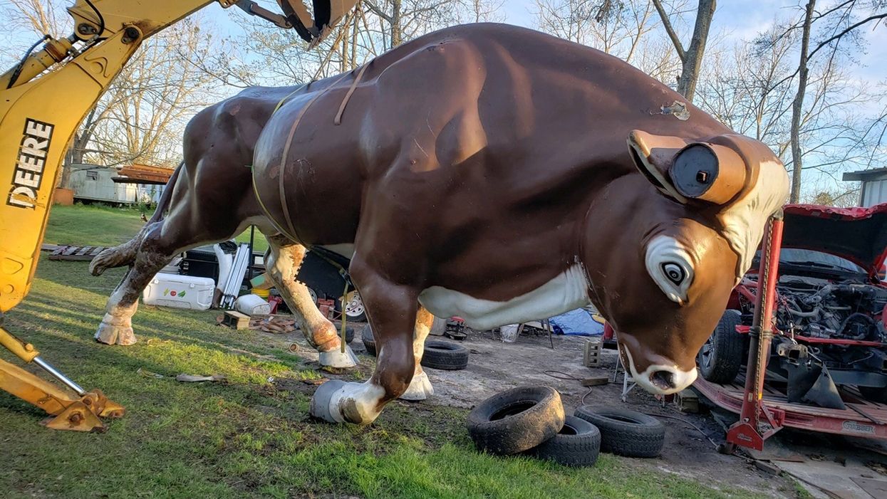 Iconic 20,000-pound bull to return to Panama City Beach