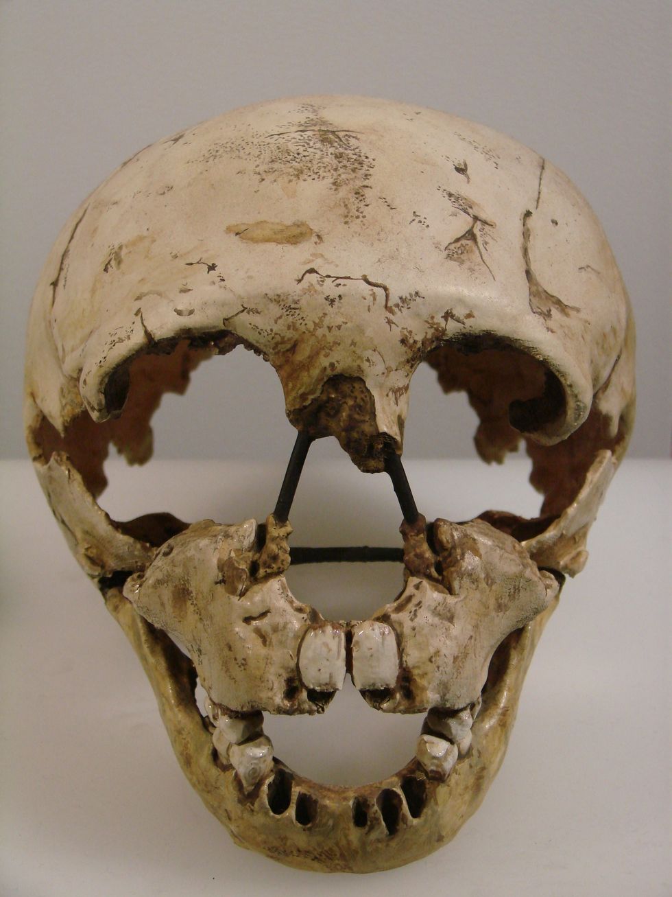 A Review Of The Article 'Neanderthals And Modern Behavior'