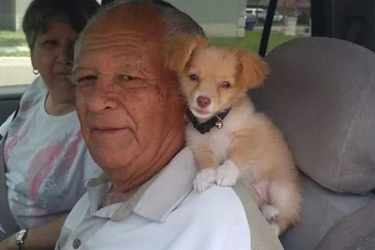 ICE Has Held Grampa With Alzheimer's For 9 Months. Don't You Feel Safe?