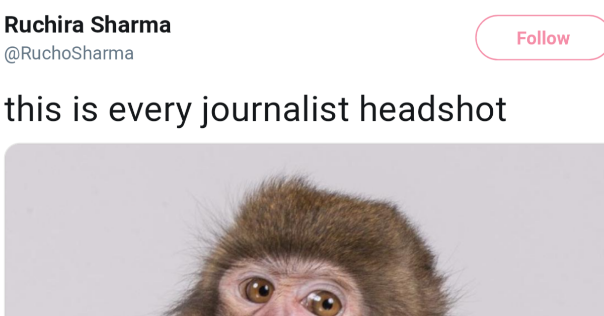 This Photo Of A Monkey Has Journalists LOLing And Relating Hard For Its Familiar Pose