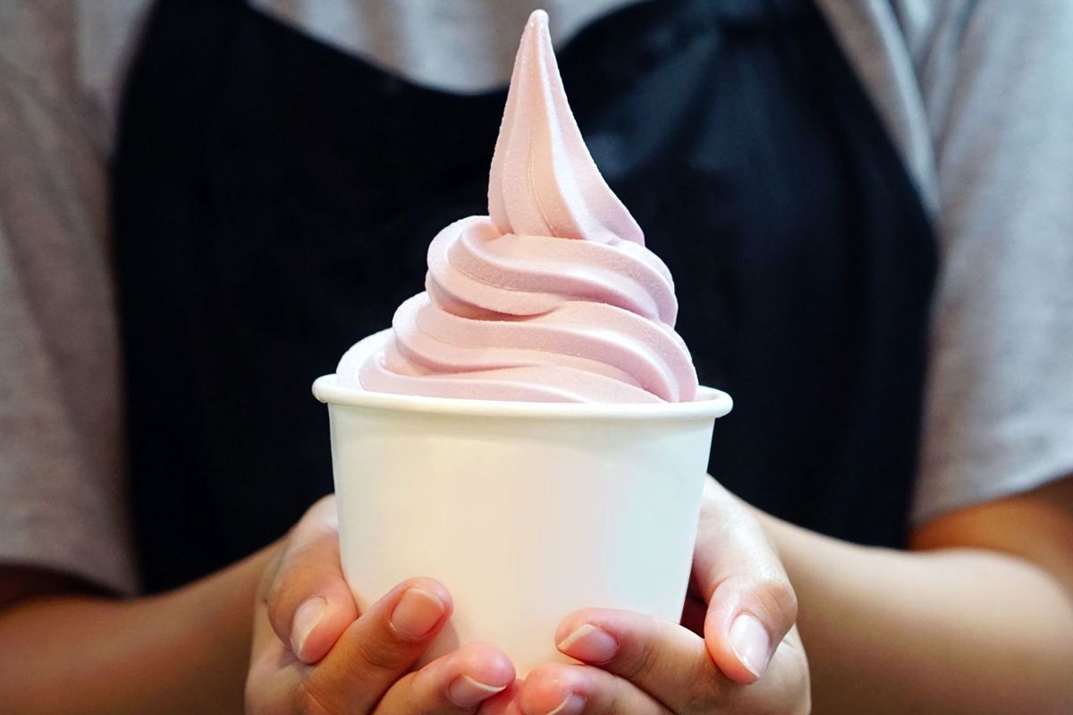 The Top 6 Best DIY Frozen Yogurt Brands