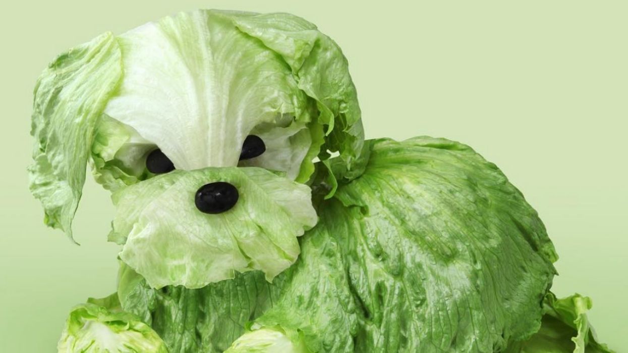 This Artist Created Deliciously Adorable Animals Out Of Our Favorite Foods