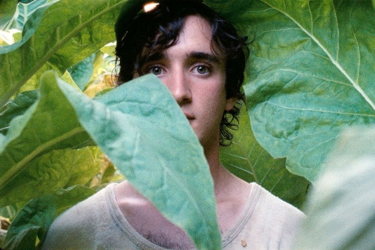 guy standing behind massive leaves