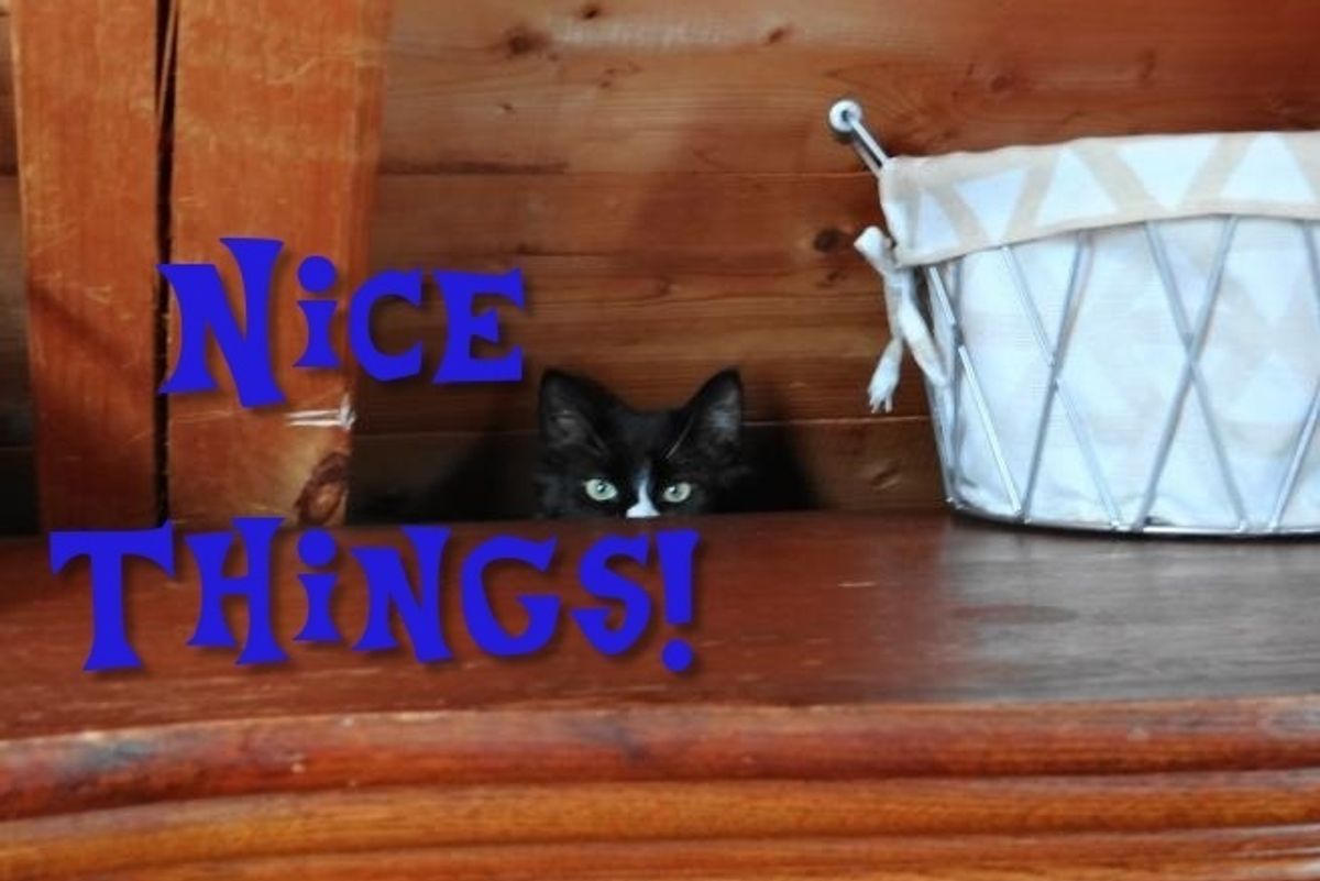 Let's All Relax With Some NICE THINGS
