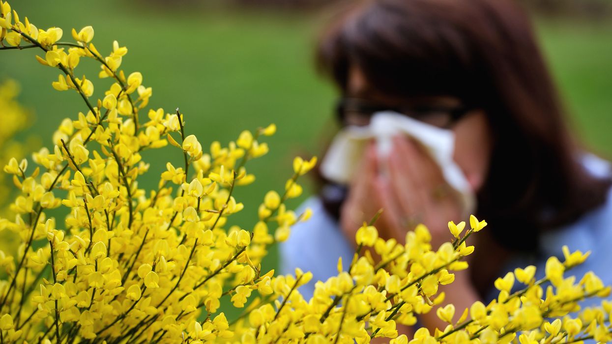 Pollen season predicted to be aggressive this year