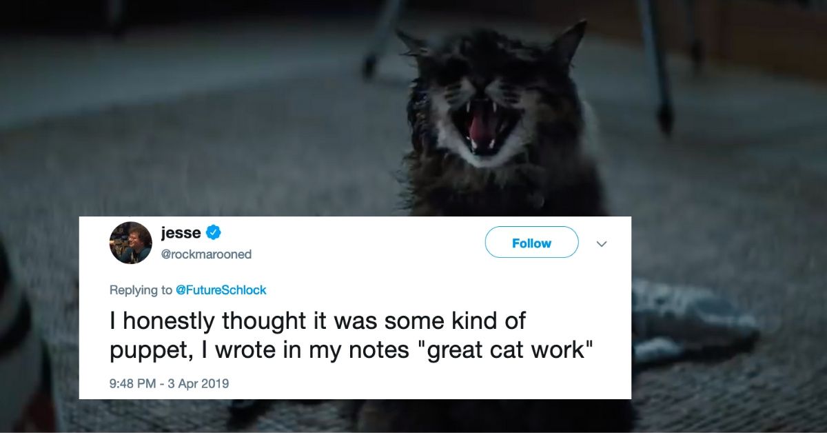 Everyone Is Hilariously Wondering The Same Thing About That Creepy Cat From 'Pet Sematary'